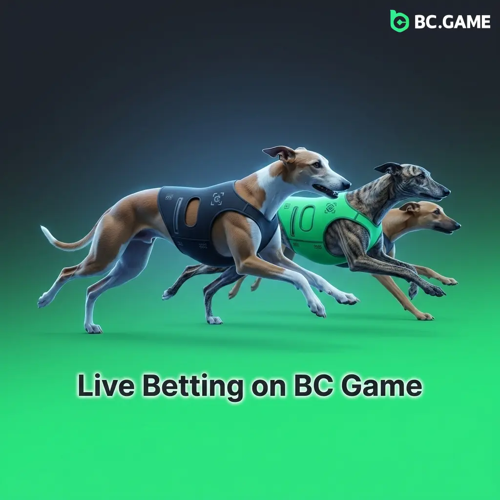 BC Game live betting interface showing in-play odds for cricket, football, tennis and basketball with real-time stats